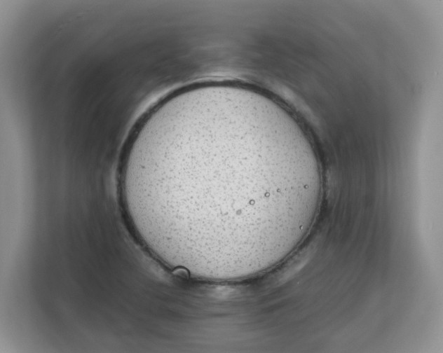 X0000111861412200908131450