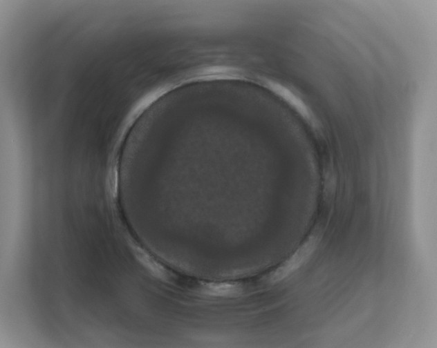 X0000111861413200908131450