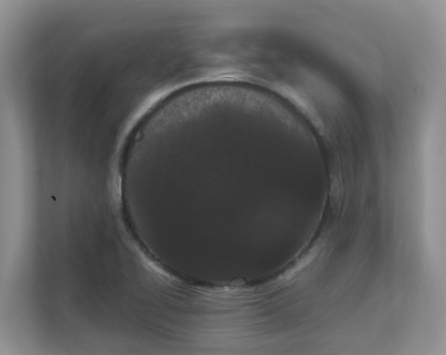 X0000111861414200908131450