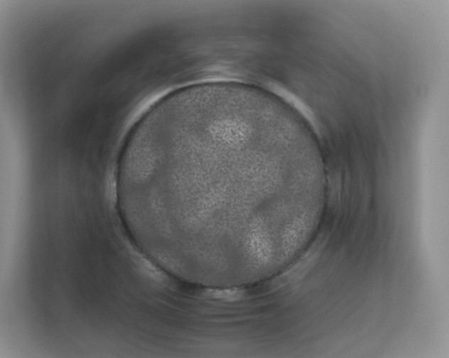 X0000111861415200908131450