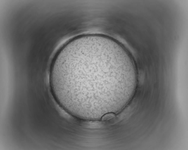 X0000111861416200908131450