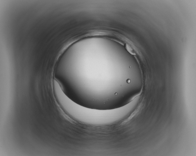 X0000111861417200908131450