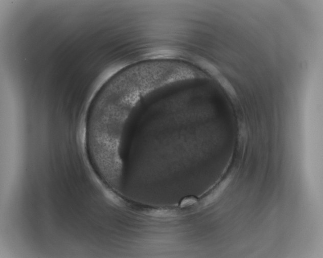 X0000111861418200908131450