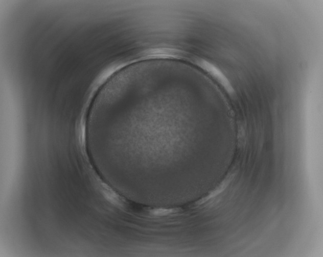 X0000111861419200908131450