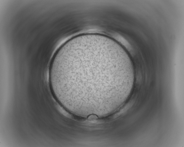 X0000111861420200908131450