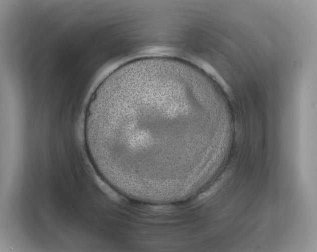 X0000111861421200908131450