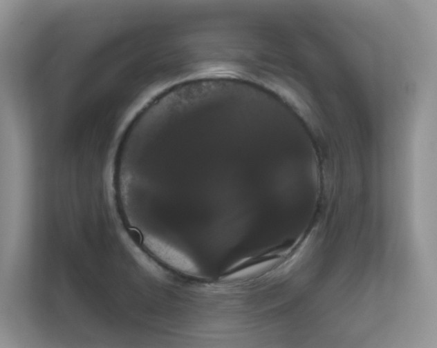 X0000111861422200908131450