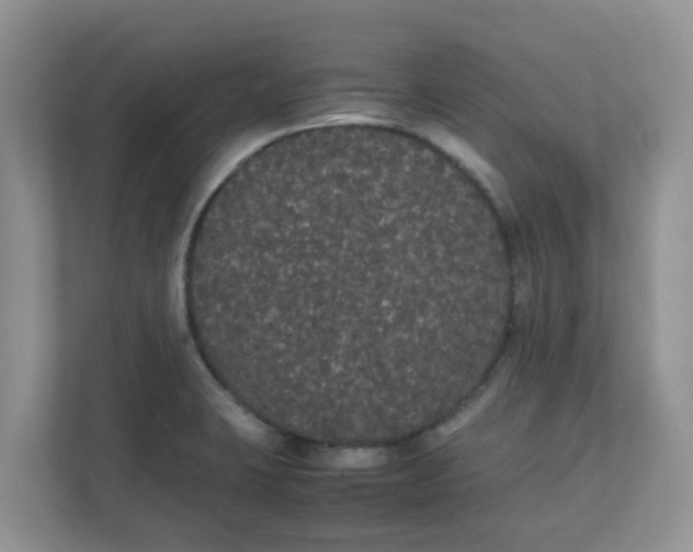 X0000111861423200908131450