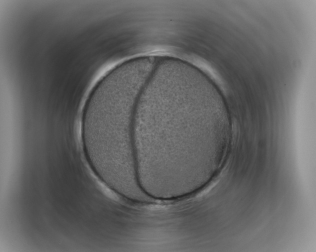 X0000111861424200908131450