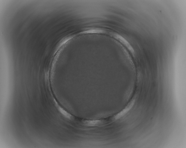 X0000111861425200908131450