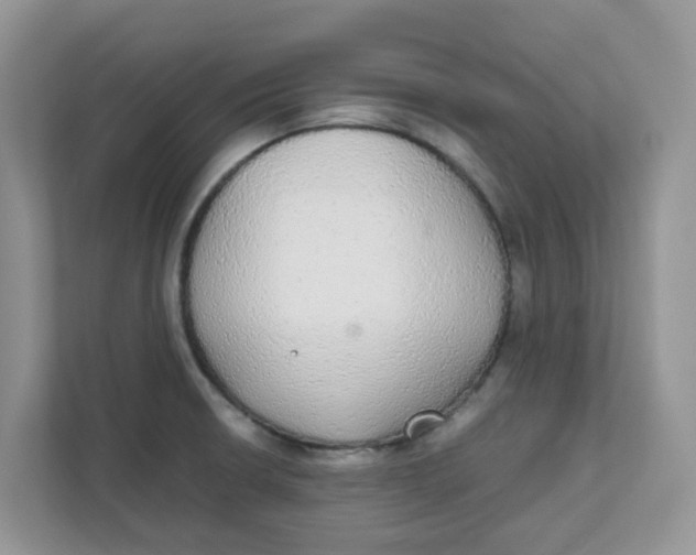 X0000111861426200908131450