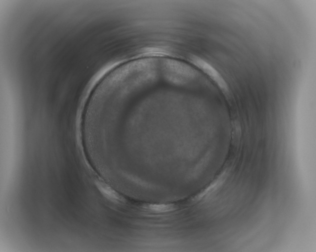 X0000111861427200908131450