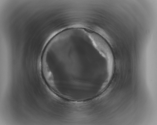 X0000111861428200908131450