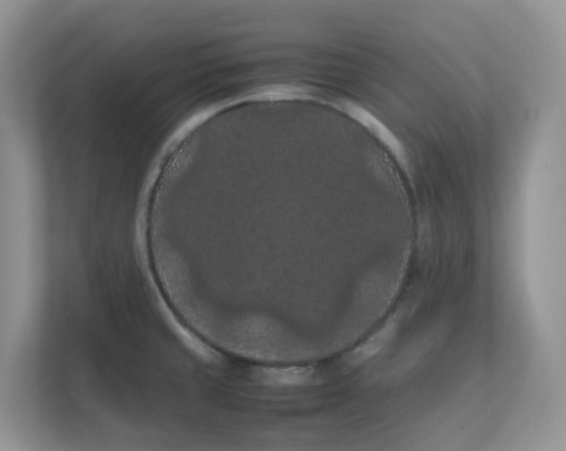 X0000111861429200908131450