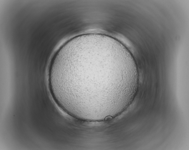 X0000111861430200908131450