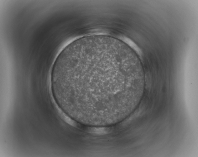 X0000111861431200908131450