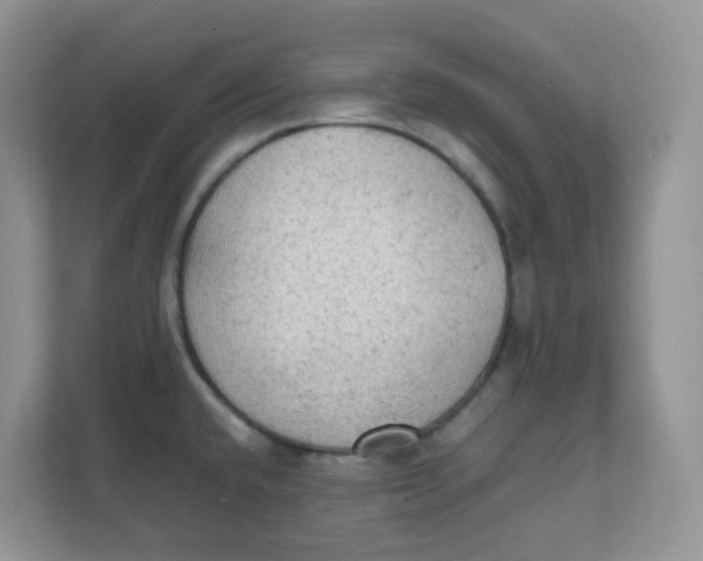 X0000111861432200908131450