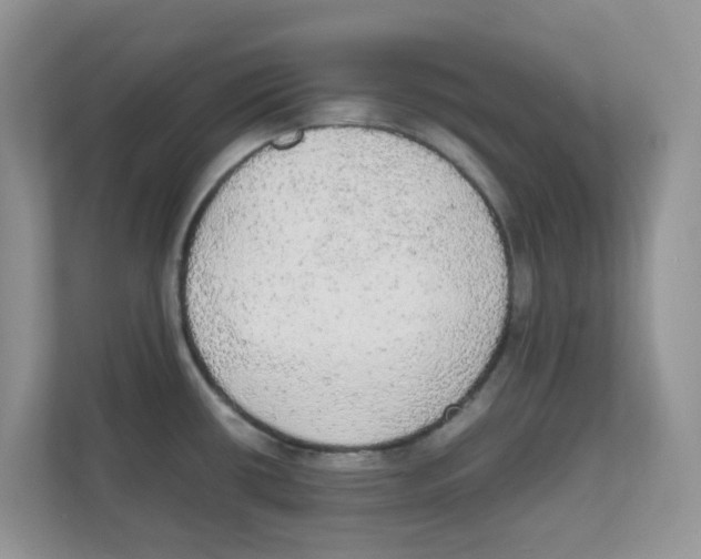 X0000111861434200908131450