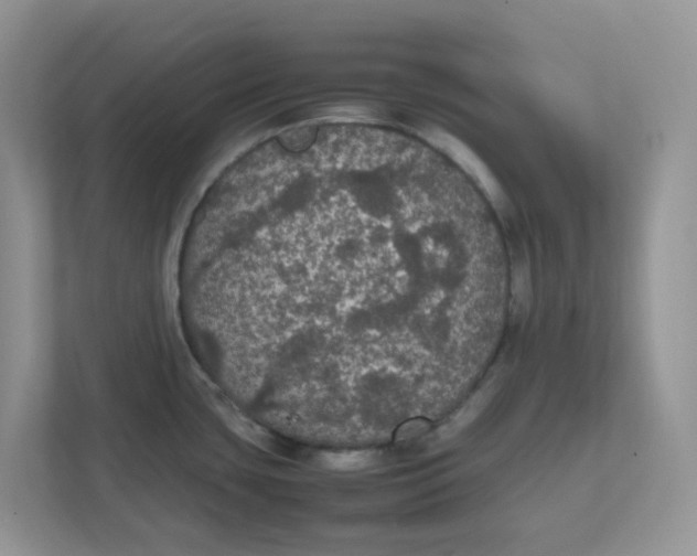 X0000111861435200908131450