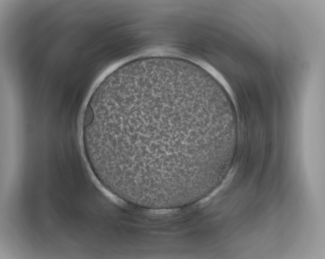 X0000111861437200908131450