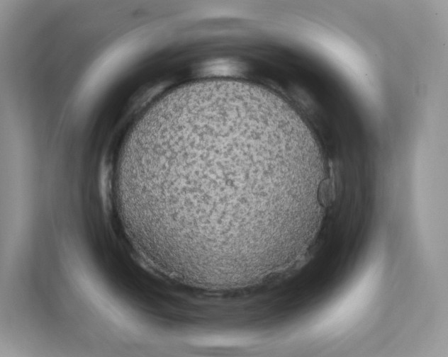 X0000111861438200908131450