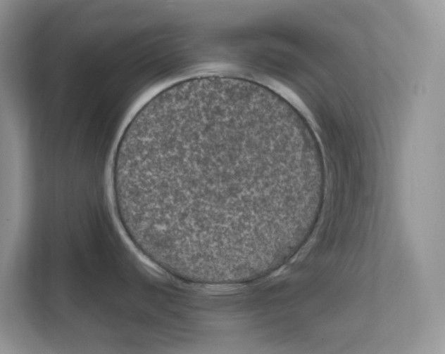 X0000111861440200908131450