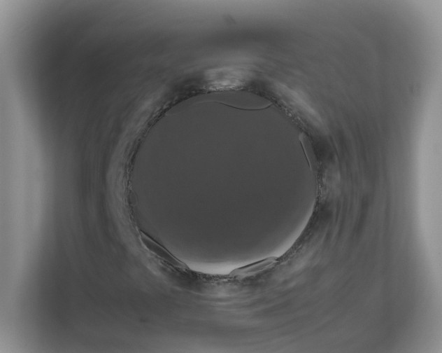 X0000111861441200908131450