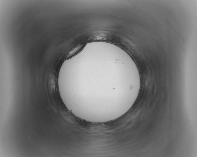 X0000111861442200908131450