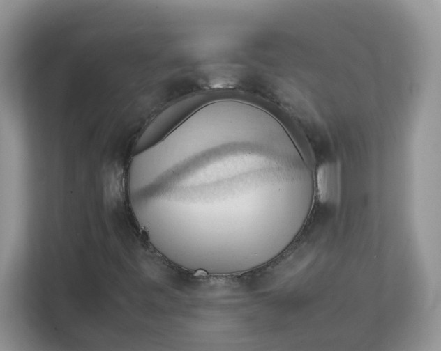 X0000111861443200908131450