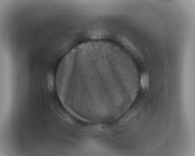 X0000111861444200908131450