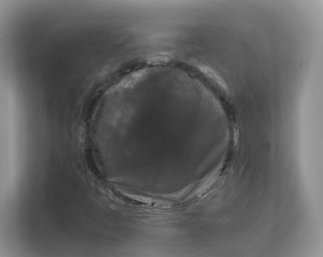 X0000111861445200908131450