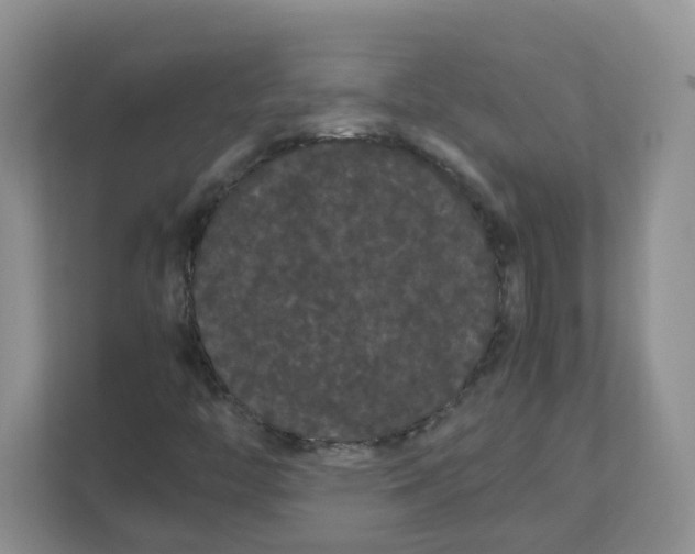 X0000111861446200908131450