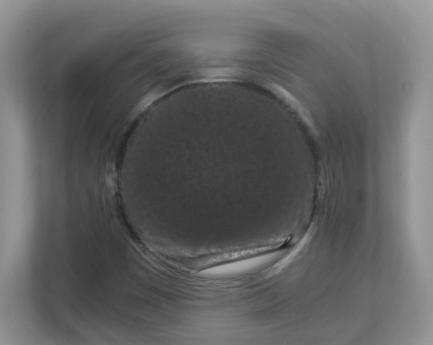 X0000111861449200908131449