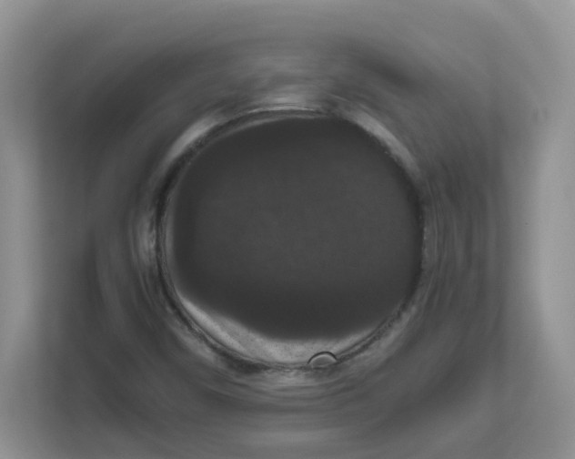 X0000111861450200908131449