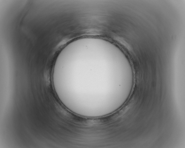 X0000111861451200908131449