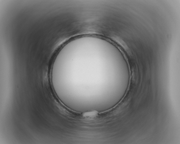 X0000111861452200908131449