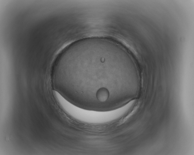 X0000111861453200908131449