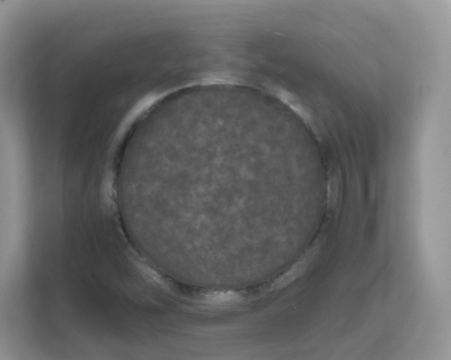 X0000111861454200908131449