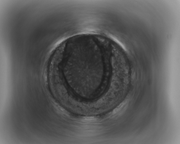 X0000111861455200908131449