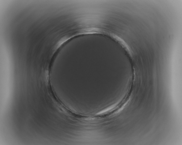 X0000111861457200908131449