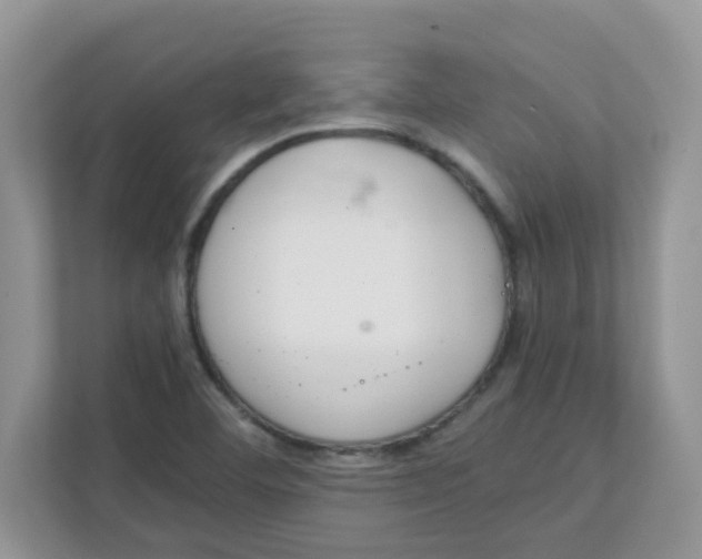 X0000111861460200908131449