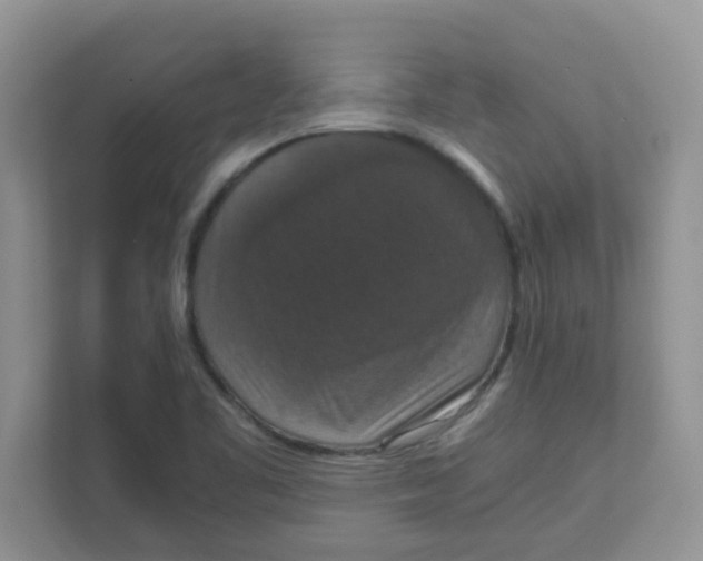 X0000111861461200908131449