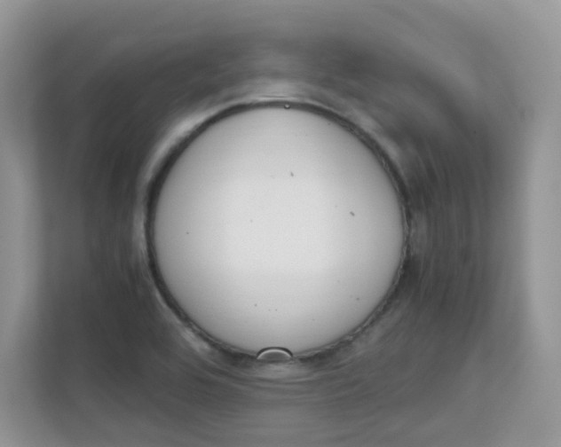 X0000111861464200908131449