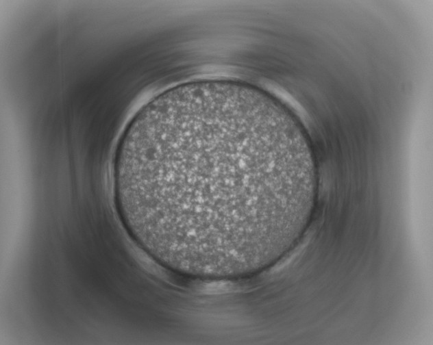 X0000111861467200908131449