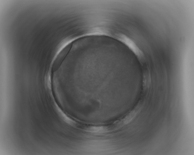 X0000111861468200908131449