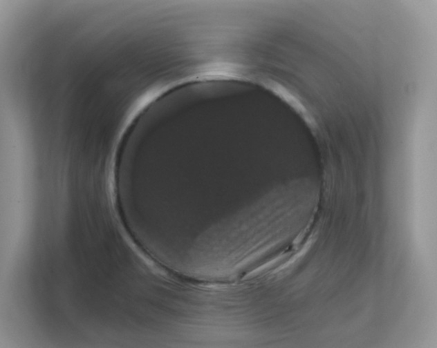 X0000111861469200908131449