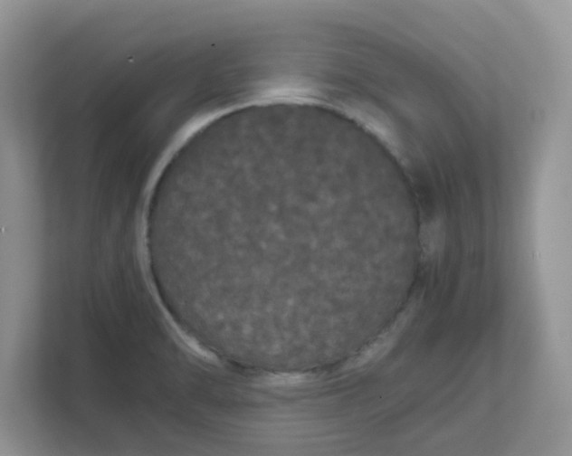 X0000111861470200908131449