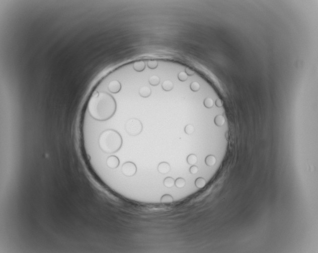 X0000111861471200908131449