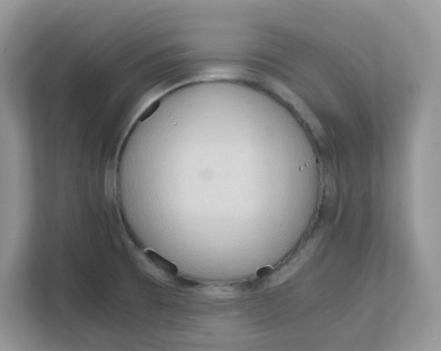 X0000111861473200908131449