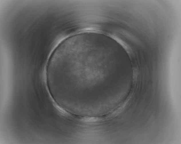 X0000111861474200908131449